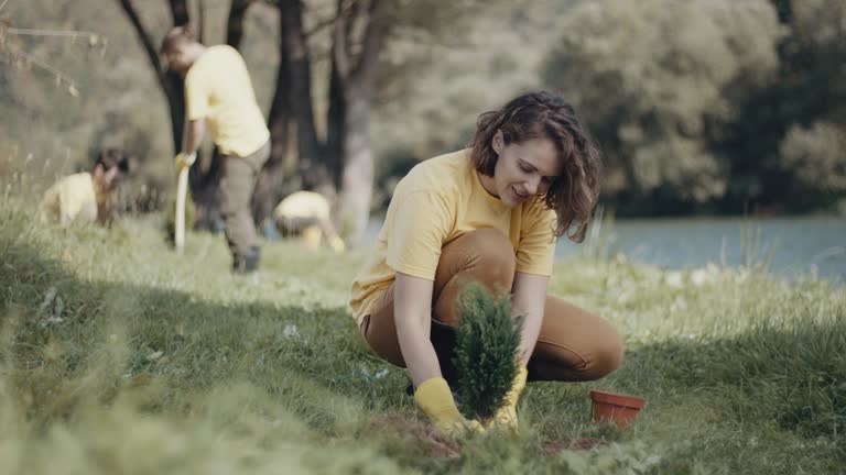 Soil Testing and Treatment in Fruitvale, CO